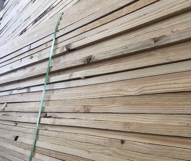 椒江巴西松